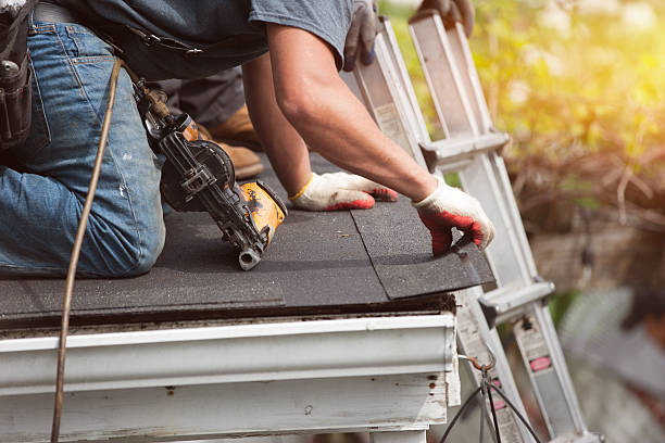 Best Roof Gutter Cleaning  in Gallatin, TN
